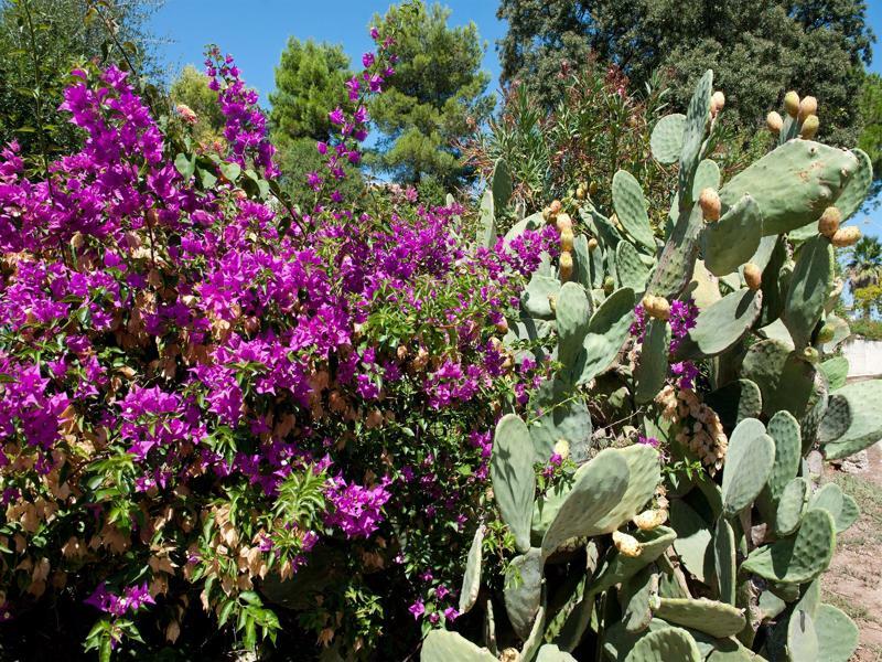 فندق Ostuni A Mare المظهر الخارجي الصورة